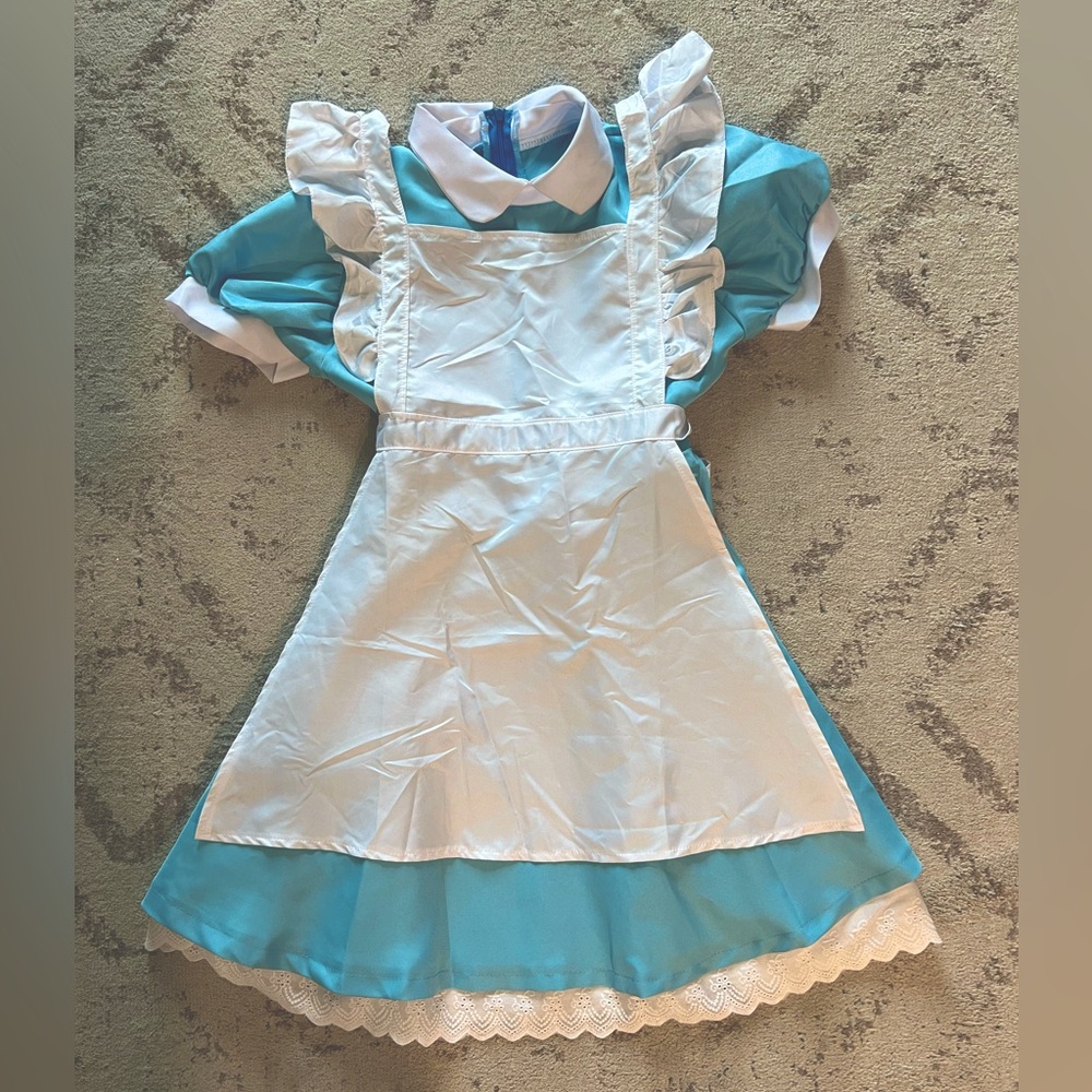 Light blue Alice dress costume. Size small.